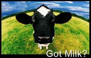 Got Milk!